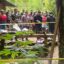 Sinopsis Nyata yang Paling Horor: Pena, Gadget, dan Tragedi di NTT